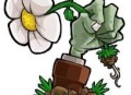 植物大战僵尸转基因版