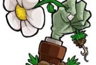 植物大战僵尸转基因版
