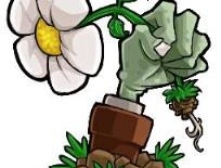 植物大战僵尸转基因版