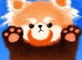小熊猫TV