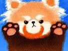 小熊猫TV
