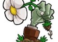 植物大战僵尸吃席版