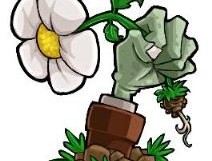 植物大战僵尸可接头版