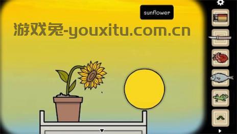 轮回的房间