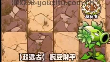 植物大战僵尸神奇植物版