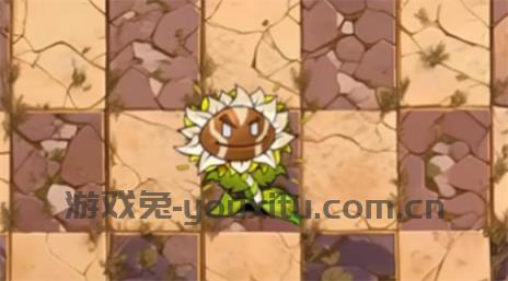 植物大战僵尸神奇植物版