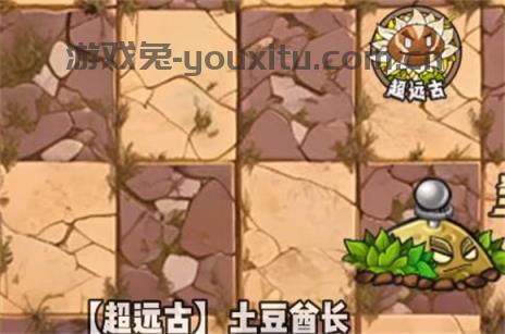 植物大战僵尸神奇植物版