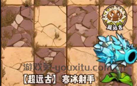 植物大战僵尸神奇植物版