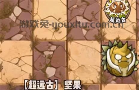 植物大战僵尸神奇植物版