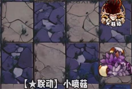植物大战僵尸神奇植物版