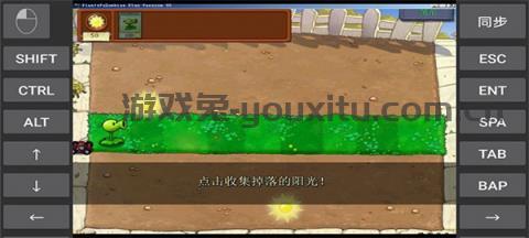 植物大战僵尸95版