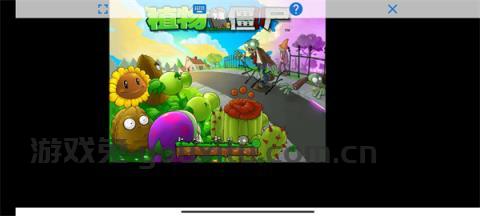 植物大战僵尸95版