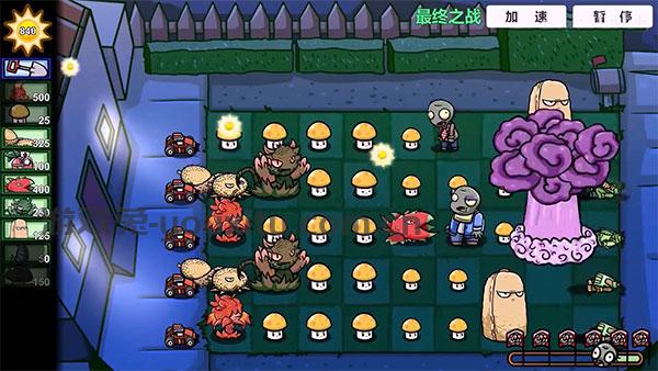pvzbt