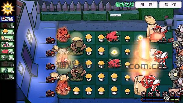 pvzbt