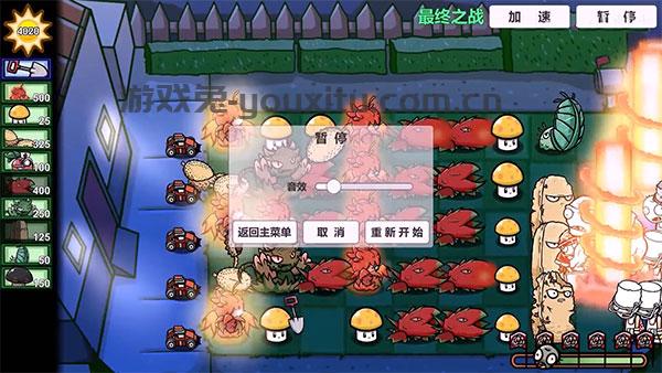 pvzbt