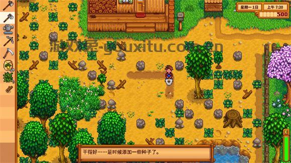 Stardew valley