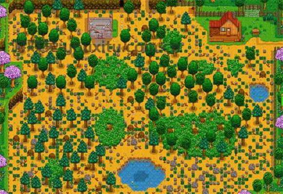 Stardew valley